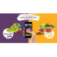The ICE holds the second Instagram photo and video contest